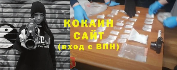 соль ск Алексин