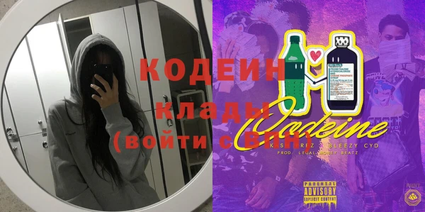 соль ск Алексин