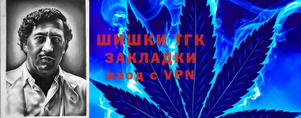 соль ск Алексин