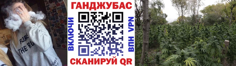 продажа наркотиков  Опочка  Бошки Шишки план 